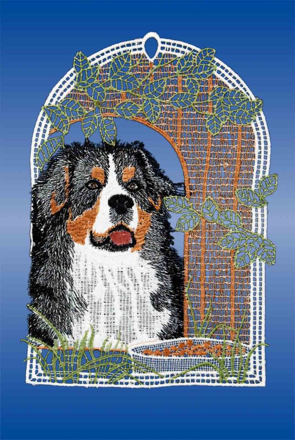 Plauener Spitze Fensterbild Berner Sennenhund