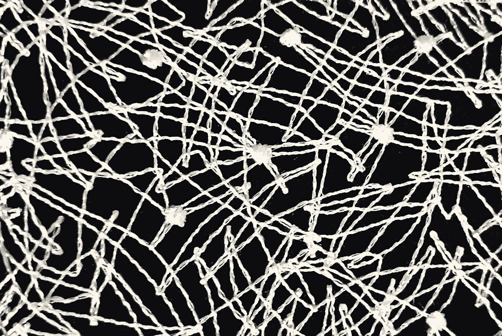 Plauener Spitze Tischwäsche Vivien – Detail Detailansicht der Luftspitze der Tischwäsche Vivien aus Plauener Spitze